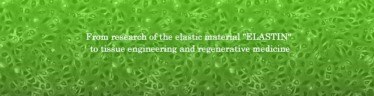 From research of the extended material "ELASTIN" to reproduction medical